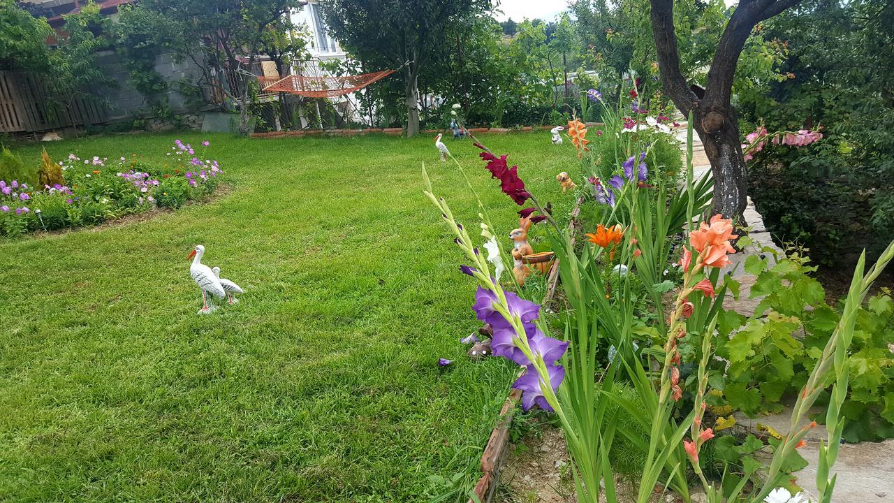 Guest House Agush Kribul 外观 照片