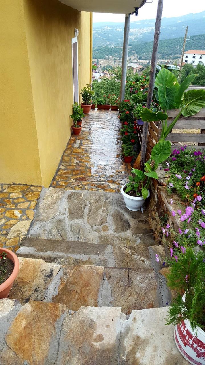 Guest House Agush Kribul 外观 照片